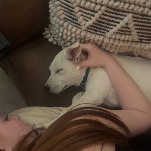 Meet your Posher, Maddy - Picture 1 of 1